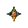 Starry AI logo